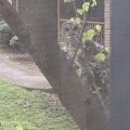 PXL_20220414_122115439.MP.jpg