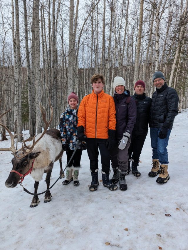 Reindeer portrait