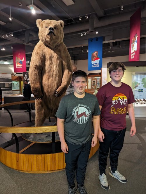 Bear poses
