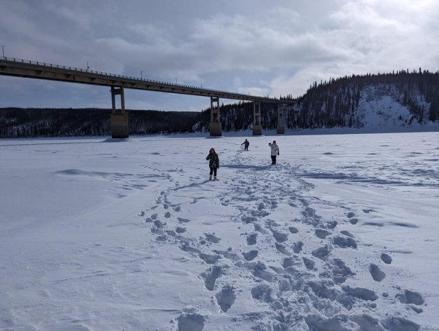 Crossing the Yukon river.  On foot!