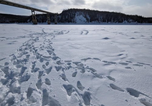 Yukon river footprints
