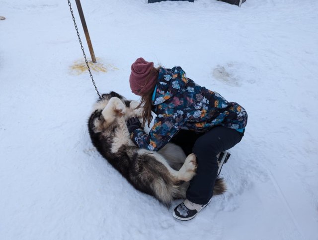 Petting the doggy