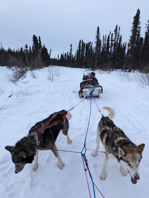 Wheee!
