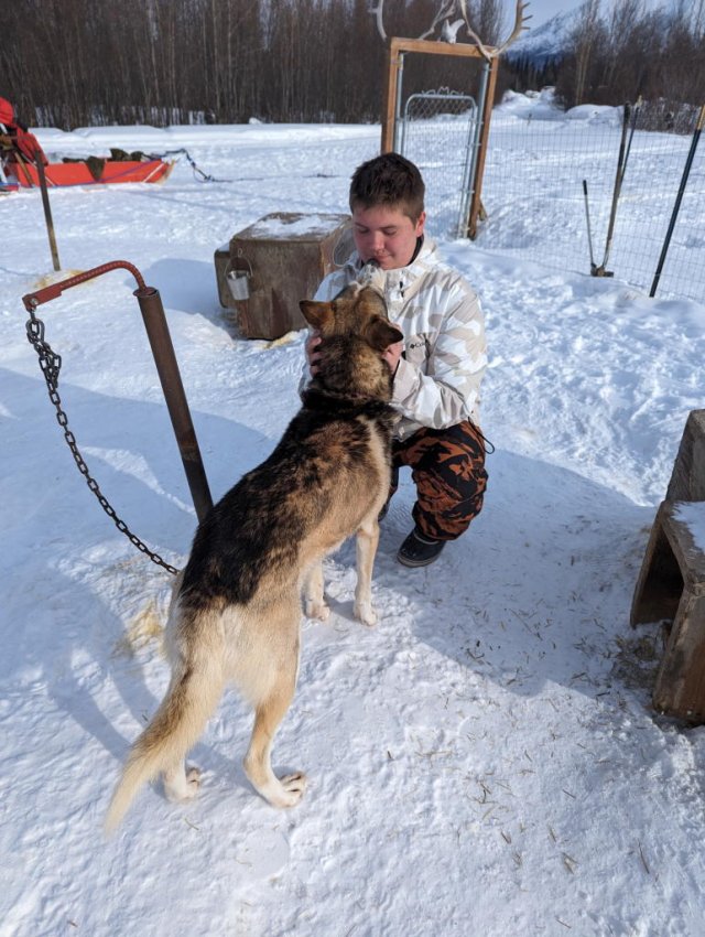 Carter's turn with the dogs