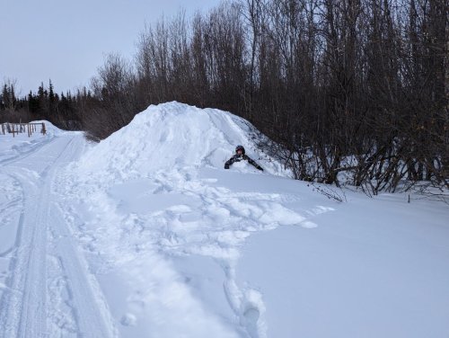 Adeline found another snow pile