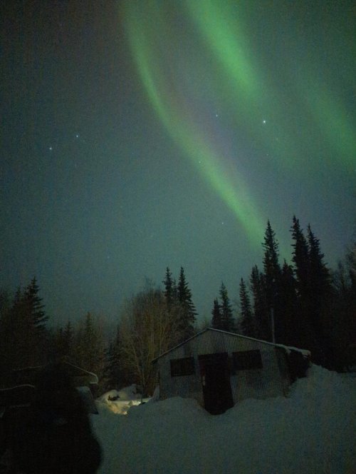 PXL_20240404_005228