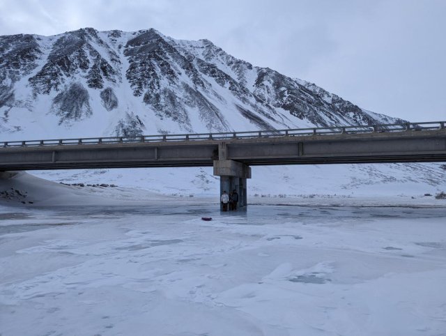 Frozen bridge trolls