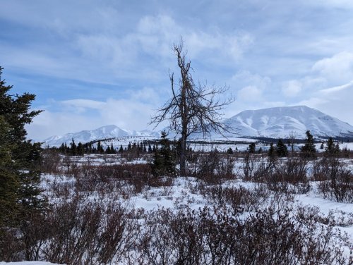 The Mountain Vista, as advertised