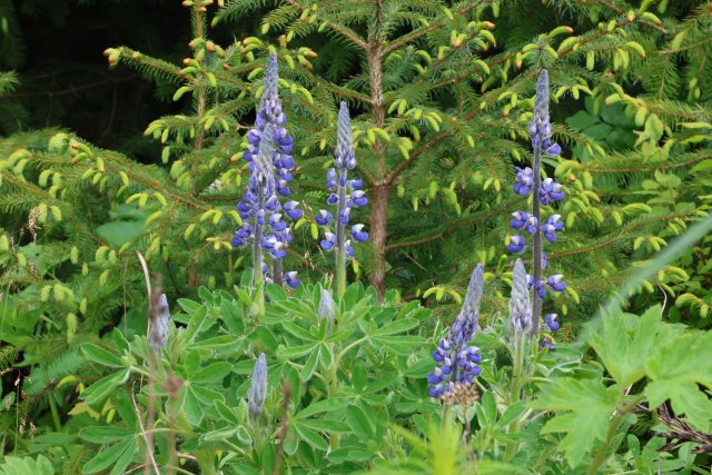 038A1325