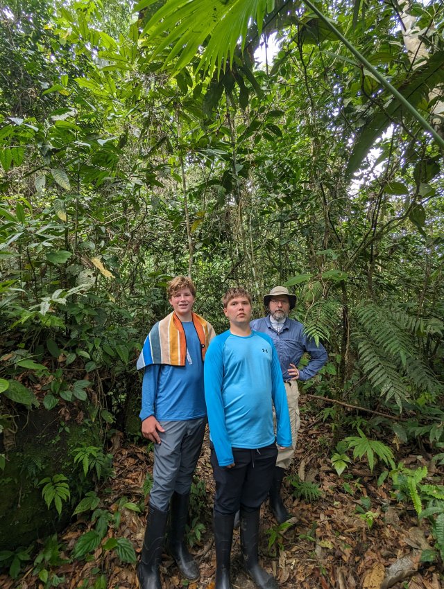 Boys in the jungle
