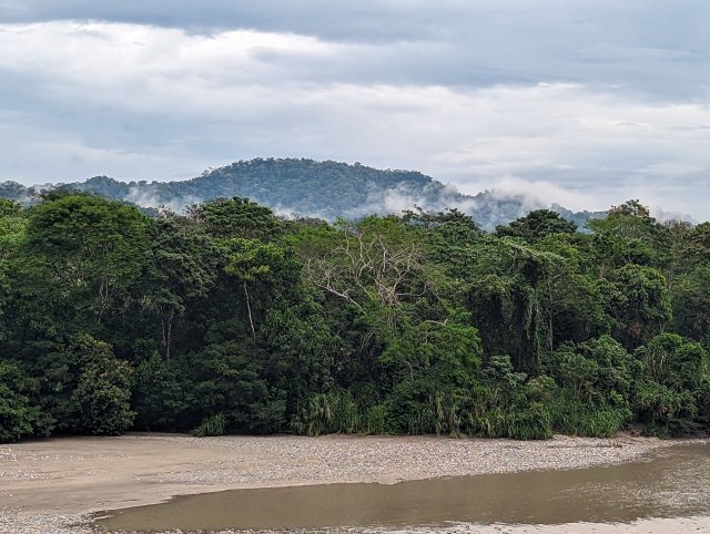 Clouds in the jungle