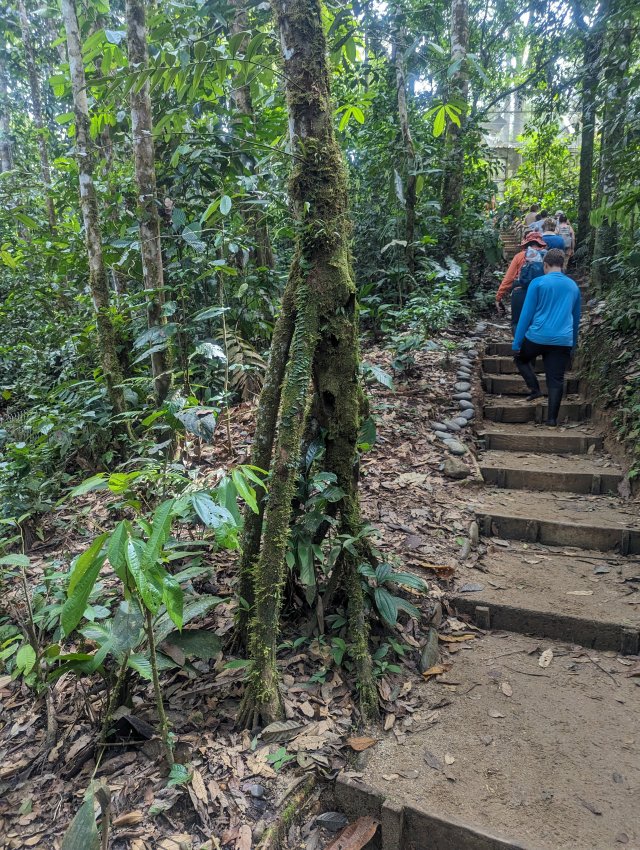 Walking away from the path