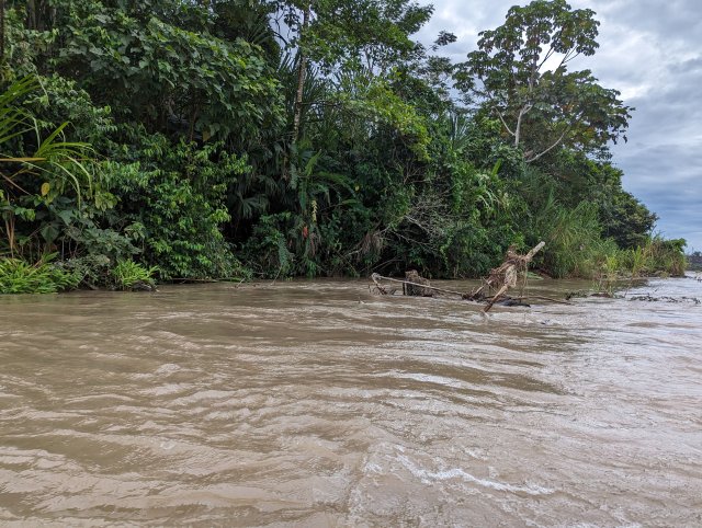 Rio Napo after the rain