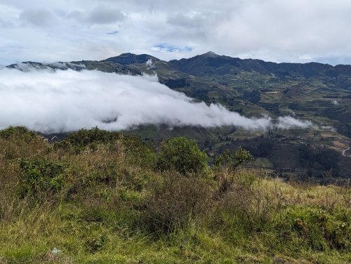 Andean low clouds