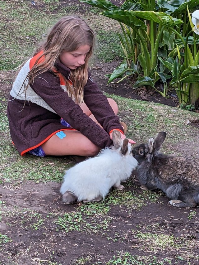 Adeline with bunnies