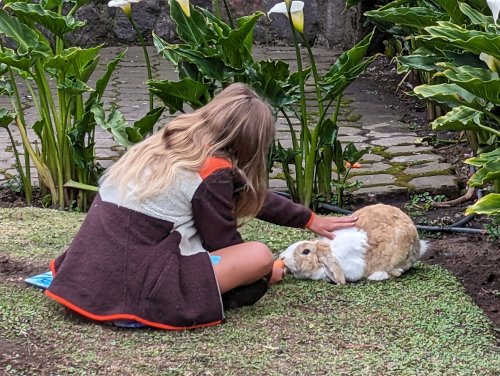 Adeline with the flop eared bunny