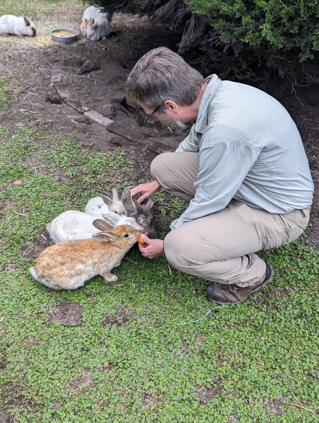 Hungry bunnies