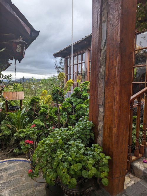 Hacienda La Andaluza courtyard
