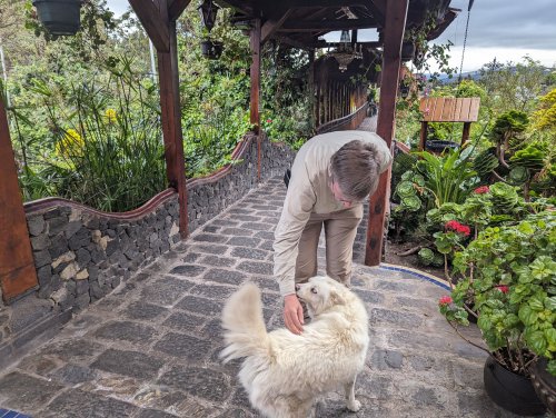 Checking in with the perro