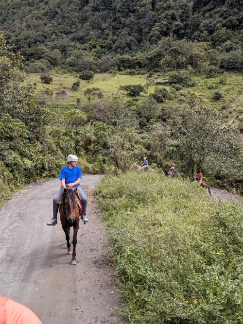 Horseback riding towards the volcano