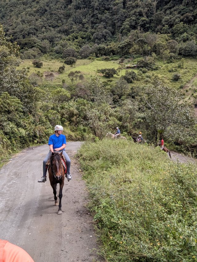 Horseback riding towards the volcano