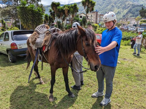 Kelton's horse