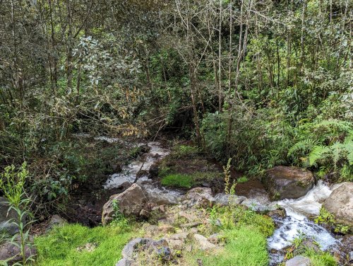 Volcanic stream