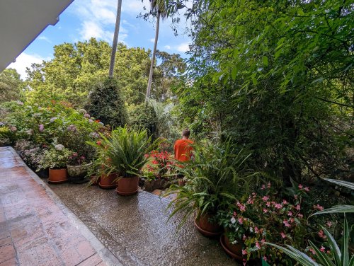 Hotel garden 
