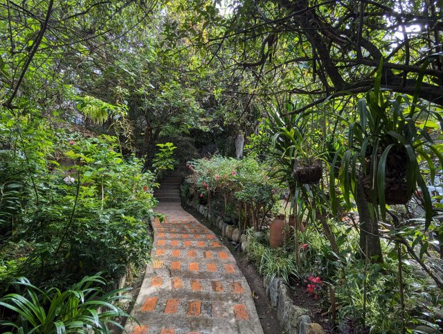Hotel garden
