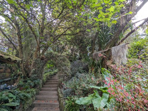 Hotel garden