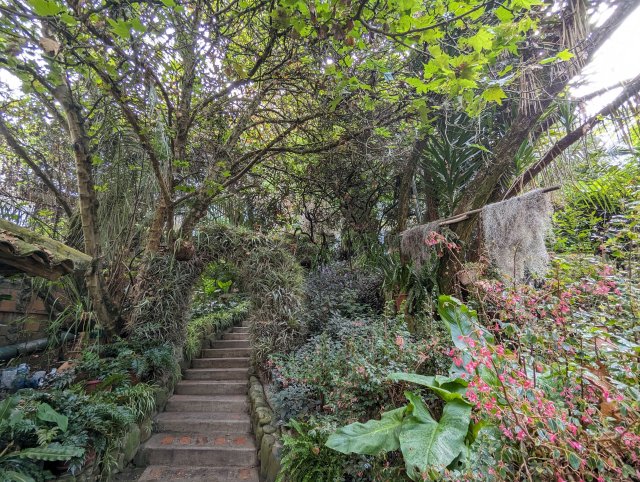 Hotel garden
