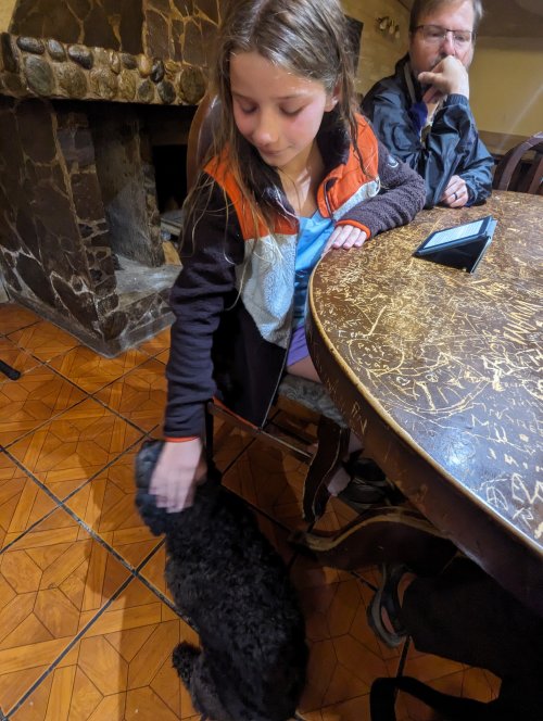 Adeline finds a perro