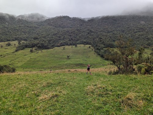 Adeline in Papallacta field