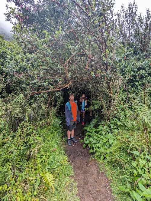 Papallacta trail