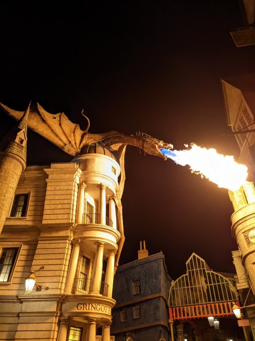 Gringott's dragon at night