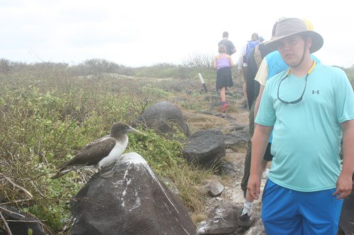 Carter with nazca boobie.jpg