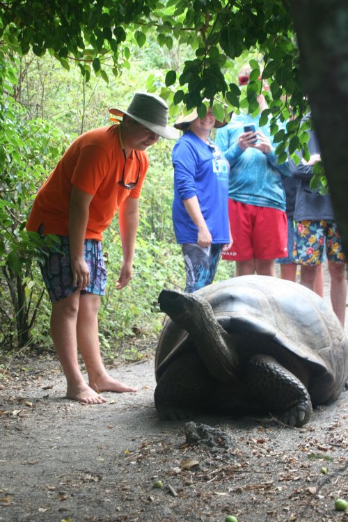 Carter with tortoise 2.jpg