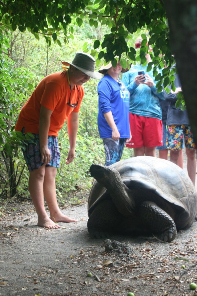 Carter with tortoise 2.jpg
