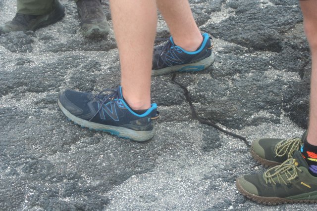 Galapagos snake underfoot.jpg