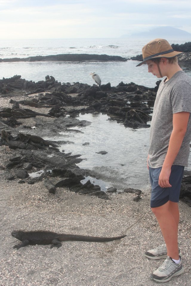 Kelton with marine iguana and heron.jpg