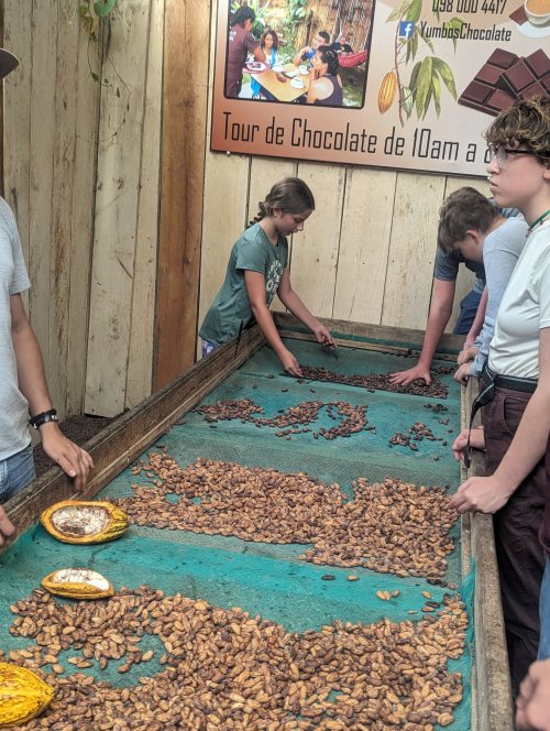 Sorting Cacao beans in Mindo