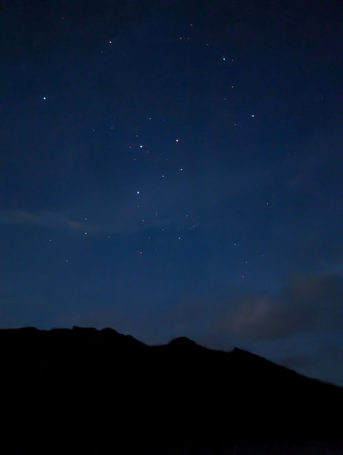 Southern cross
