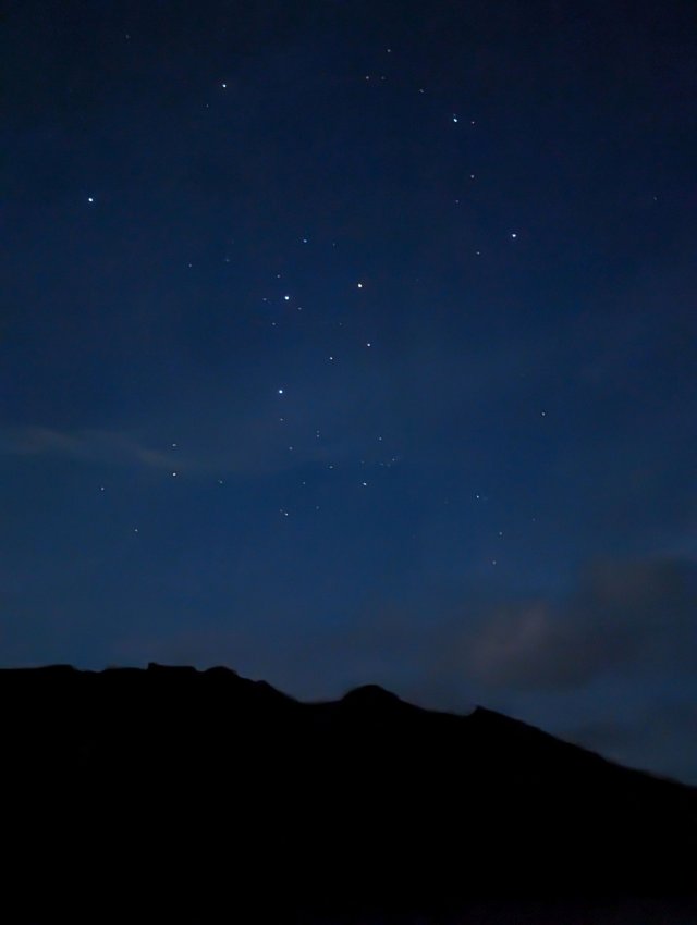 Southern cross