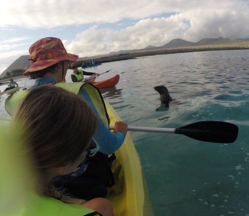 Checking out the kayakers