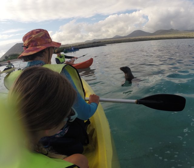 Checking out the kayakers
