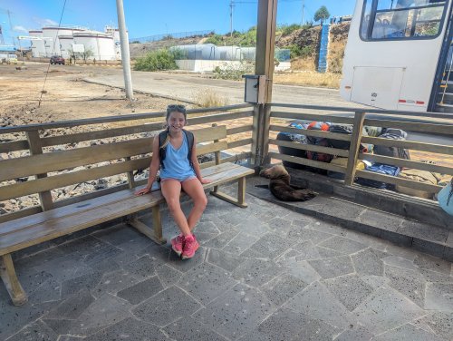Sitting with sea lions