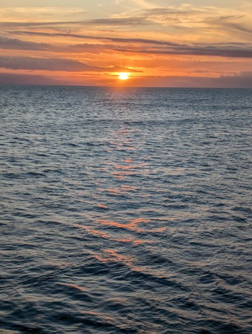 Pretty photo