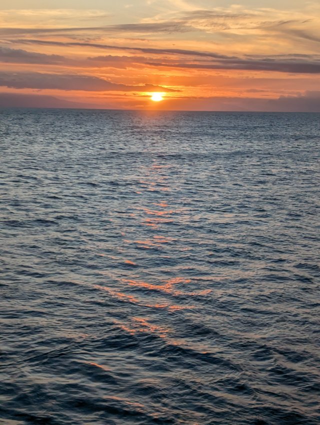 Pretty photo