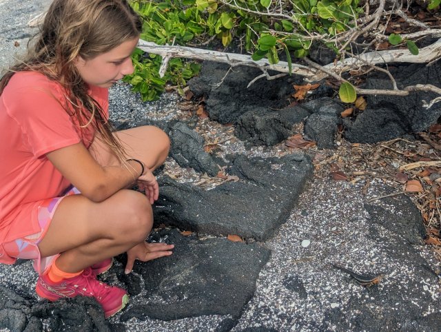 Bonding with the lava lizard