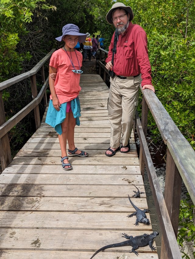 Iguana on the bridge